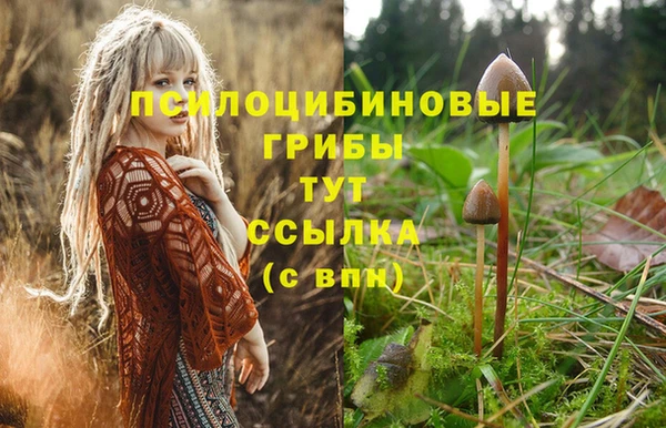 скорость Алзамай