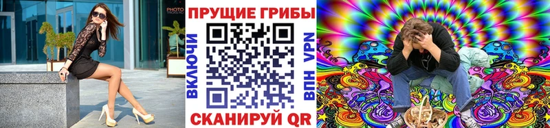 Галлюциногенные грибы Psilocybine cubensis  наркота  Пошехонье 